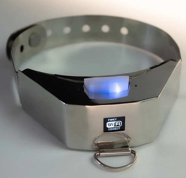 Elektroschocker (Sklave)